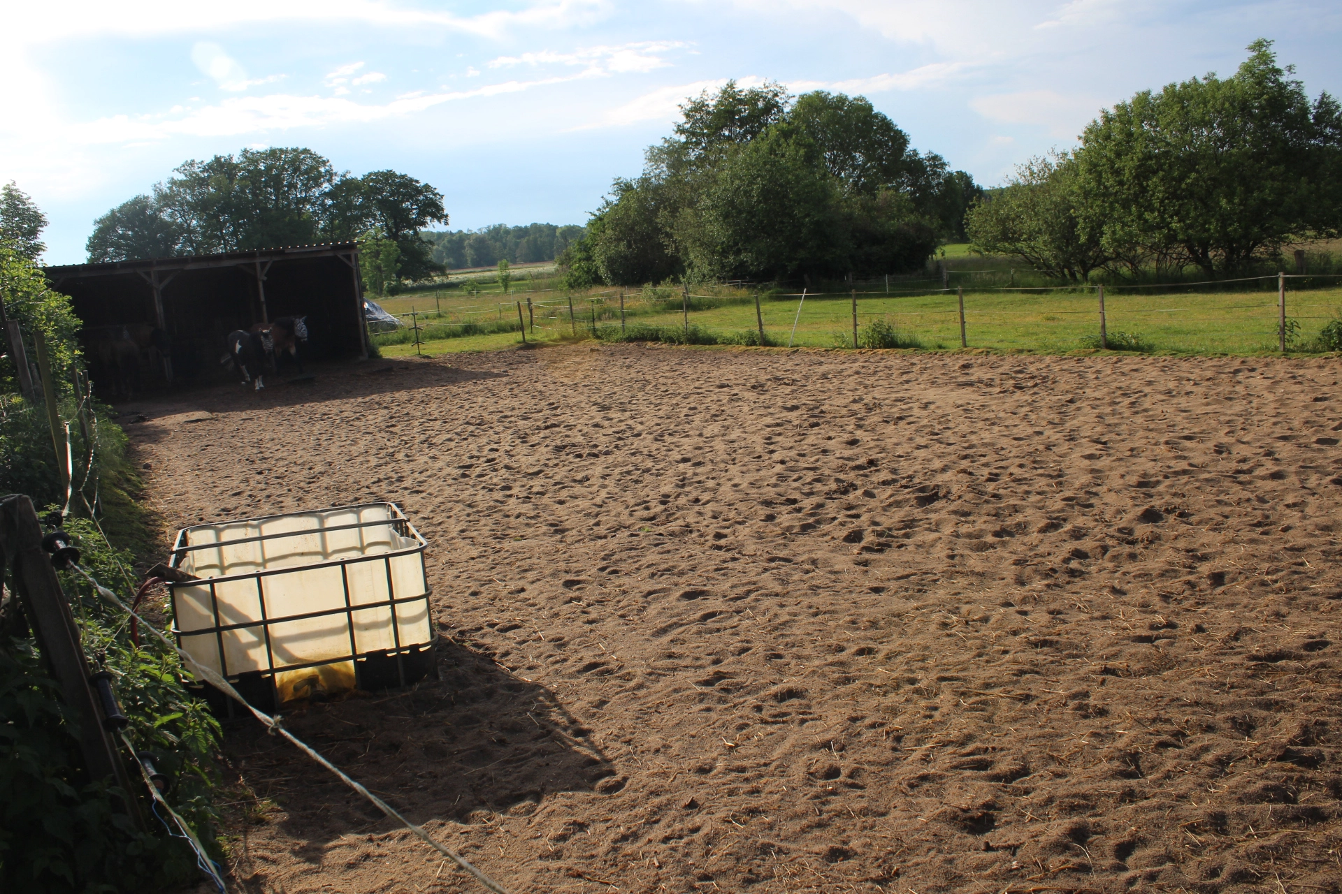 Paddock auf der Grünen Mühle